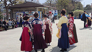 p3241165_thumb.jpg