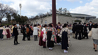 p3241167_thumb.jpg