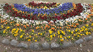 p3241172_thumb.jpg