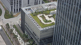 p3241226_thumb.jpg