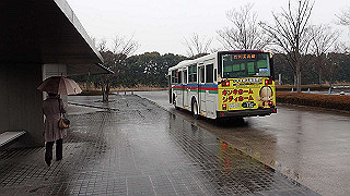p3291241_thumb.jpg