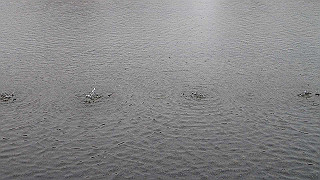 p3291249_thumb.jpg