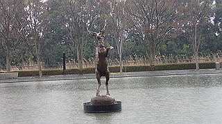 p3291251_thumb.jpg