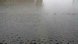 p3291271_thumb.jpg