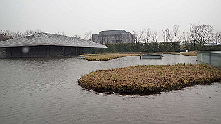 p3291273_thumb.jpg
