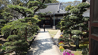 p4021309_thumb.jpg