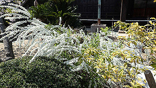 p4021312_thumb.jpg