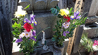 p4021319_thumb.jpg