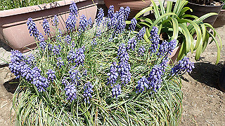 p4021322_thumb.jpg
