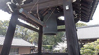 p4021323_thumb.jpg