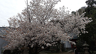 p4021333_thumb.jpg