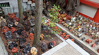 p4021347_thumb.jpg