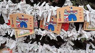 p4021350_thumb.jpg
