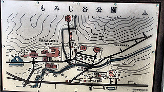 p4021352_thumb.jpg