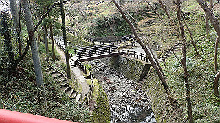 p4021353_thumb.jpg