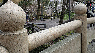p4021356_thumb.jpg