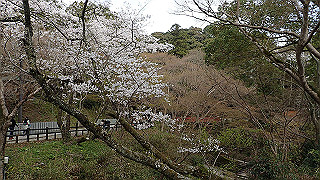 p4021357_thumb.jpg