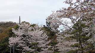 p4021358_thumb.jpg