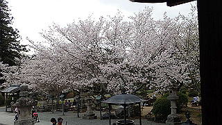 p4021361_thumb.jpg