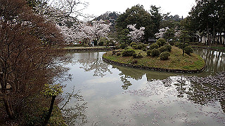 p4021362_thumb.jpg