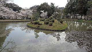 p4021363_thumb.jpg
