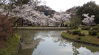 p4021364_thumb.jpg