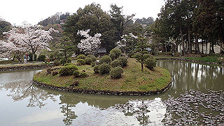 p4021365_thumb.jpg