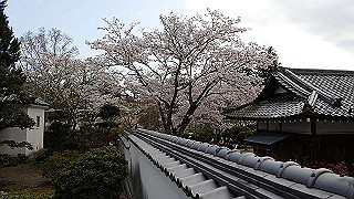 p4021375_thumb.jpg