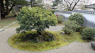 p4021377_thumb.jpg