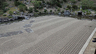 p4021386_thumb.jpg