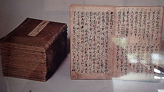 p4021397_thumb.jpg