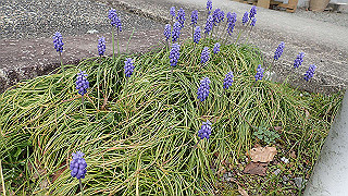 p4021398_thumb.jpg