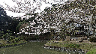 p4021401_thumb.jpg