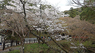 p4021404_thumb.jpg