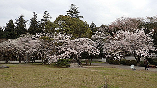 p4021409_thumb.jpg