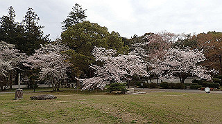 p4021411_thumb.jpg