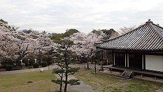 p4021414_thumb.jpg