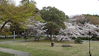 p4021415_thumb.jpg