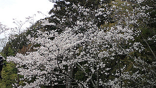p4021416_thumb.jpg