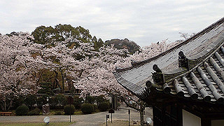 p4021417_thumb.jpg