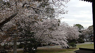 p4021418_thumb.jpg
