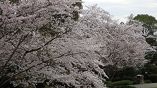 p4021419_thumb.jpg