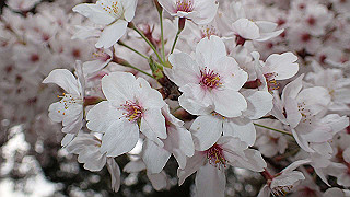 p4021463_thumb.jpg
