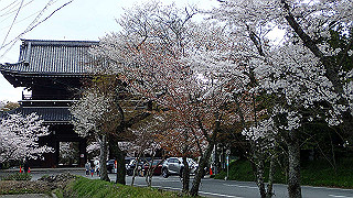 p4021476_thumb.jpg