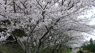 p4021477_thumb.jpg