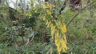 p4021481_thumb.jpg