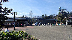 p4041522_thumb.jpg