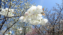 p4041527_thumb.jpg
