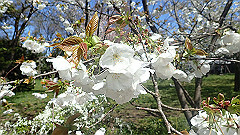p4041528_thumb.jpg
