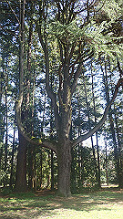 p4041530_thumb.jpg